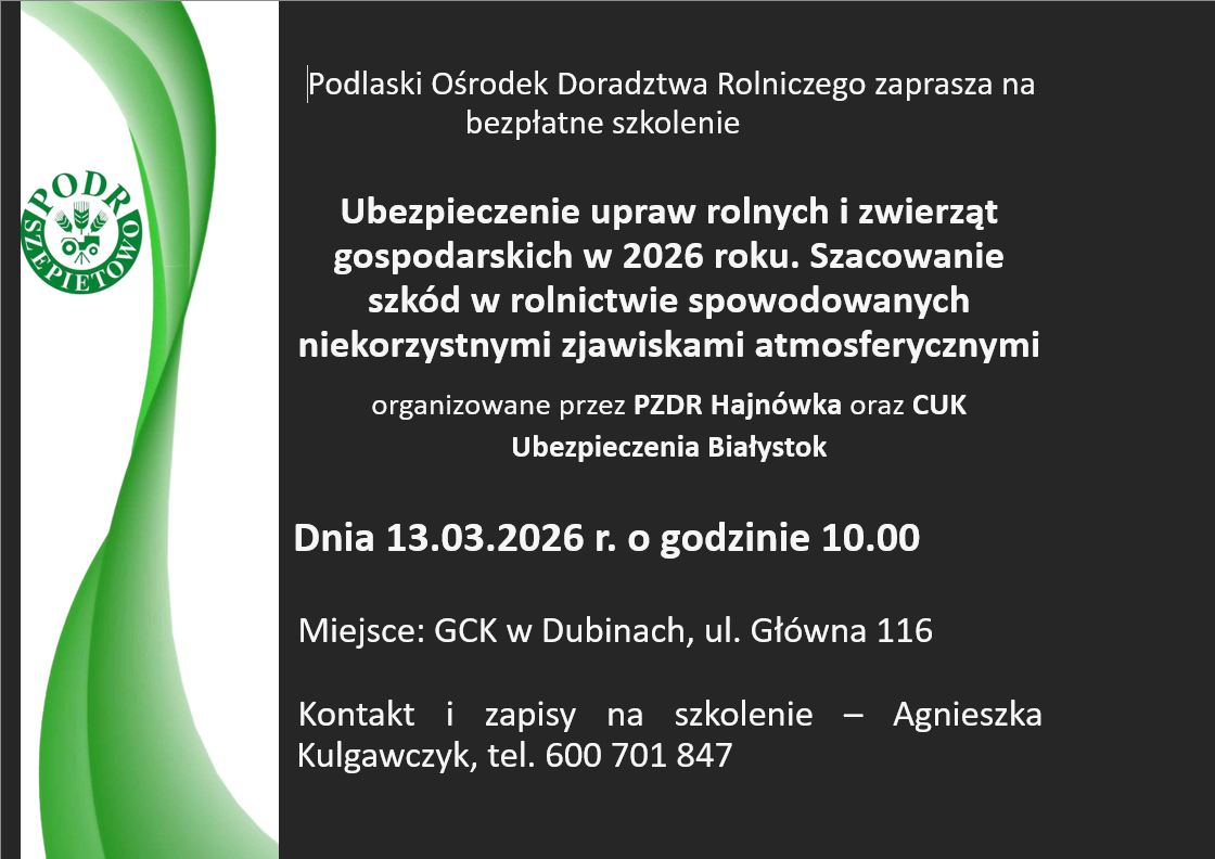 Zrzut ekranu 2026 03 02 121447